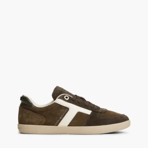 נעלי טומי הילפיגר Tribeca Suede Mixed Texture Enamel Flag Trainers נשים
